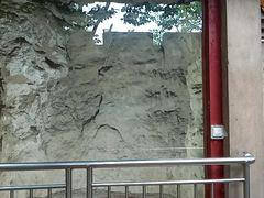 -函谷关历史文化旅游区