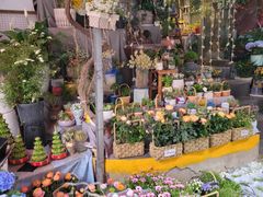 -循礼门鲜花花市(武汉循礼门店)