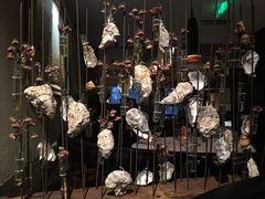 -Oyster Talks 四度蚝法餐厅