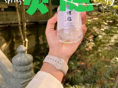 -灵隐飞来峰景区
