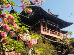 -西安青龙寺遗址景区
