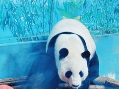 -石家庄市动物园