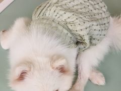 -怪兽屋·羊驼·猫咖·狗咖(俊华广场店)