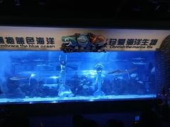 -成都浩海立方海洋公园