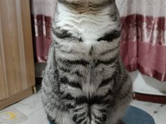 -美联众合24小时·皮肤科·外科·全科诊疗中心(华苑分院)