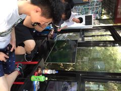 洛克公园(莘庄店)-洛克公园·篮球·足球·羽毛球(莘庄店)
