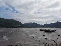 -北岐滩涂