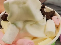 -Salud撒露欧洲冻酸奶(蓝色港湾店)