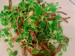 核桃拌香椿芽-百花人家(清水镇店)