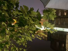 -张家大院·鲁菜·私房菜(芙蓉街店)