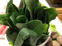 -龙凤禧毛肚火锅(阳光舜城店)