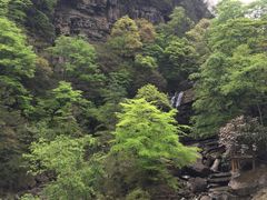 -黎坪国家森林公园