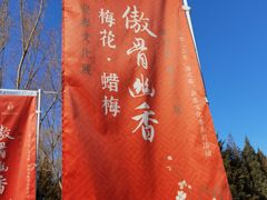 -颐和园