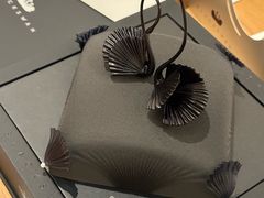 -BLACKSWAN黑天鹅(环球店)