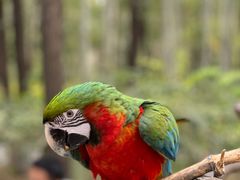 -北京野生动物园