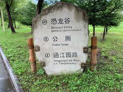 -嘉荫恐龙国家地质公园