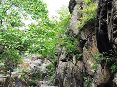 -百里山水画廊乌龙峡谷