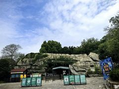 -合肥野生动物园