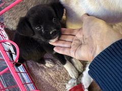 -五一星光夜市(SOHO新天地店)