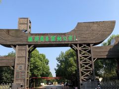 -溱湖国家湿地公园