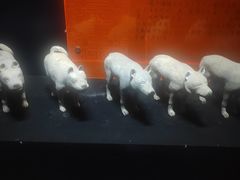-汉景帝阳陵博物院