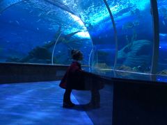 -多彩贵州城极地海洋世界