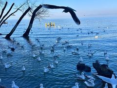 -捞渔河湿地公园