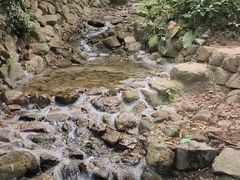 -青青世界