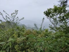 -塔云山
