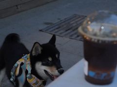 -小意思咖啡店(草桥店)