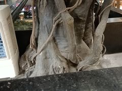 -阳光院坝小龙虾(红牌楼店)