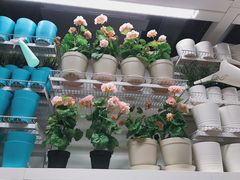 -宜家家居(哈尔滨商场店)