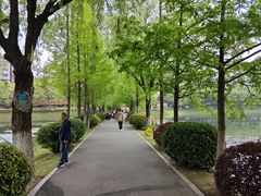 -宝岛公园