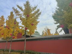 -即墨古城