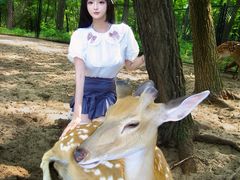 -南戴河国际娱乐中心