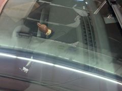 -鲨鱼皮汽车凹陷玻璃修复(静安店)