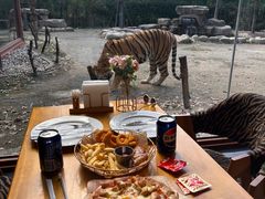 -上海野生动物园老虎餐厅