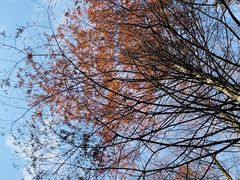 -山王坪喀斯特国家生态公园