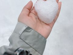 -Mr·Kuma酷么先生雪之乐园