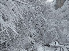 -陕西省红河谷森林公园