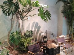 -J Create城市露营咖啡·简餐·宠物(上海动物园店)