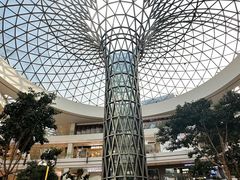 -寸屋拉面(凯德晶萃店)