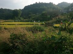 -黄龙带水库