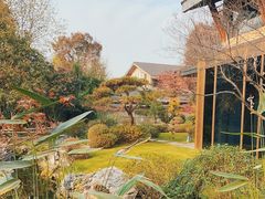 -新荣记(西溪湿地店)