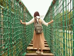 -广东茂名森林公园