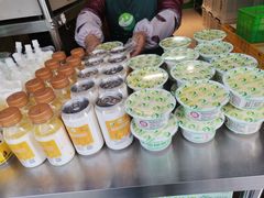 -德禄酸奶(莫家街店)