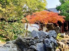 -秋霞圃
