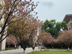 -长沙市青少年宫