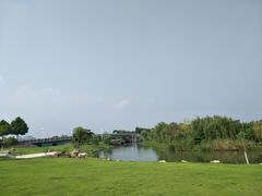 -合肥滨湖国家森林公园