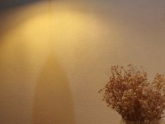 -威廉的太妃糖酒店(杭州西湖青芝坞店)